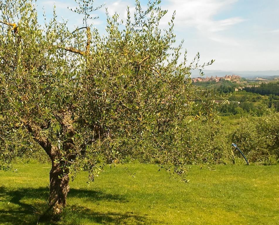 Capanna 1826 Villa San Gimignano Eksteriør bilde